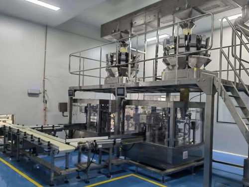 源头工厂直供 国内转盘给袋式包装机实力品牌解析